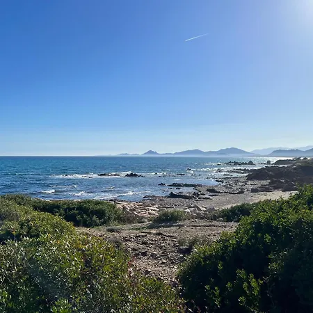La Pavoncella