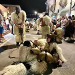 Appartamento La Pavoncella
